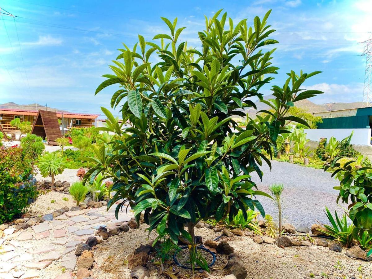 Macaronesia Love Spa, Sauna Y Piscina Buzanada Luaran gambar